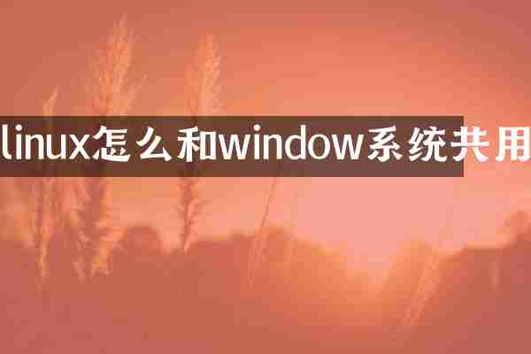 linux怎么和window系统共用