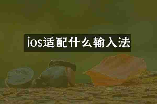 ios适配什么输入法