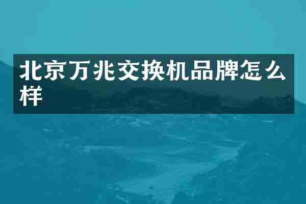 北京万兆交换机品牌怎么样