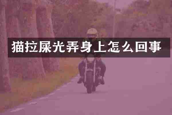 猫拉屎光弄身上怎么回事