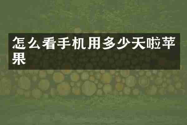 怎么看手机用多少天啦苹果