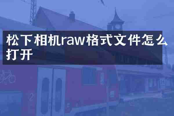 相机raw格式文件怎么打开