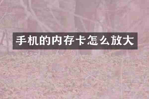 手机的内存卡怎么放大
