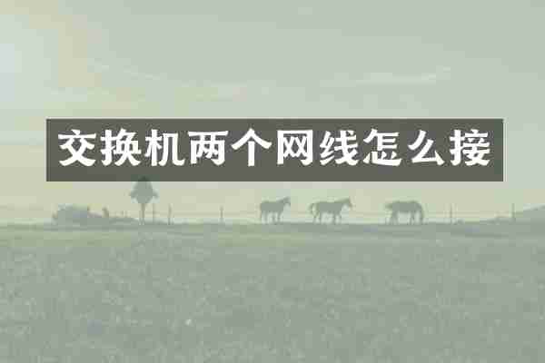 交换机两个网线怎么接