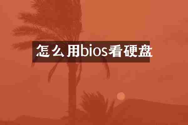 怎么用bios看硬盘