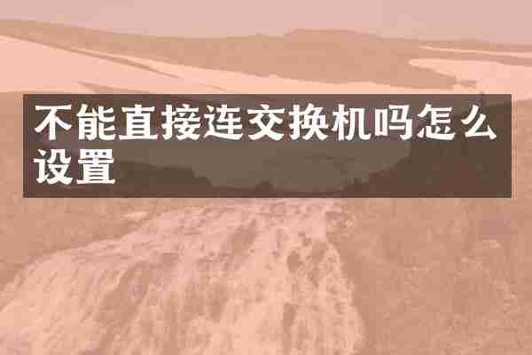 不能直接连交换机吗怎么设置