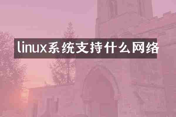 linux系统支持什么网络