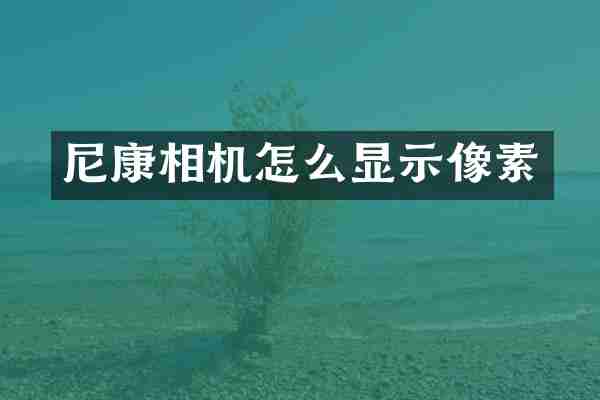 尼康相机怎么显示像素