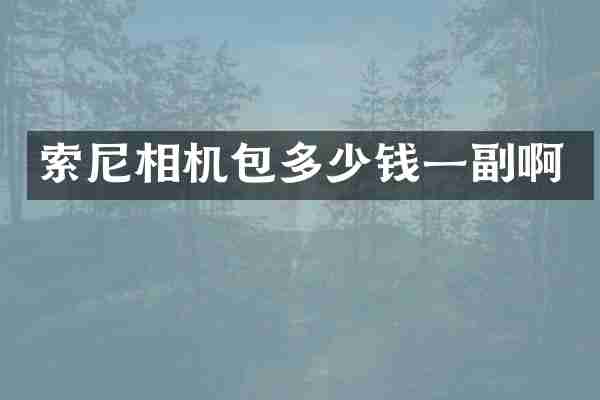 相机包多少钱一副啊