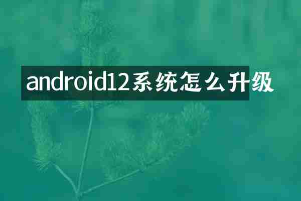 android12系统怎么升级