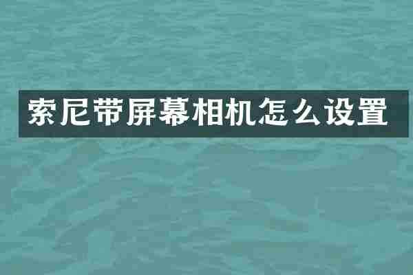 带屏幕相机怎么设置