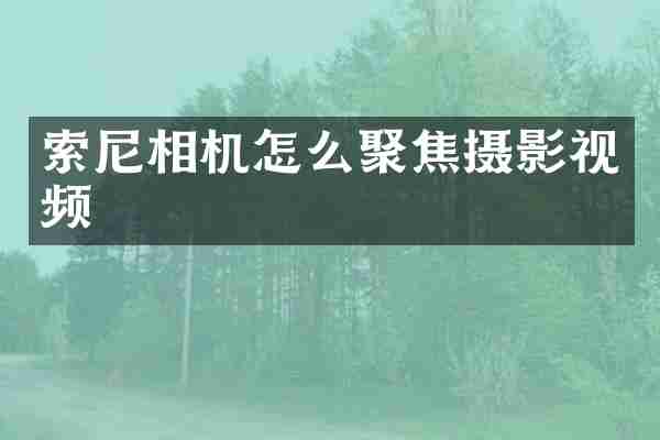 相机怎么聚焦摄影视频