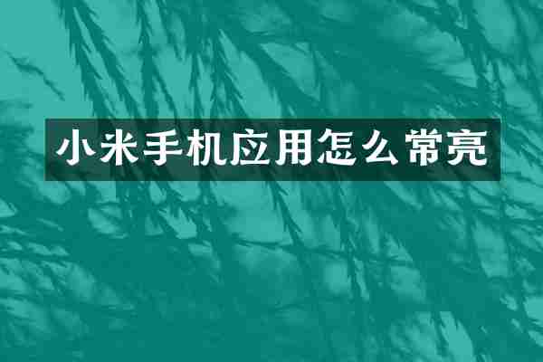 小米手机应用怎么常亮