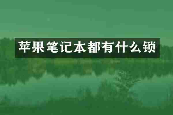 苹果笔记本都有什么锁