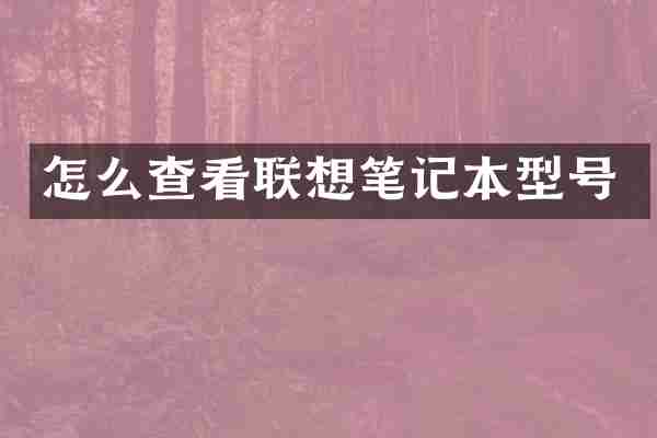 怎么查看联想笔记本型号