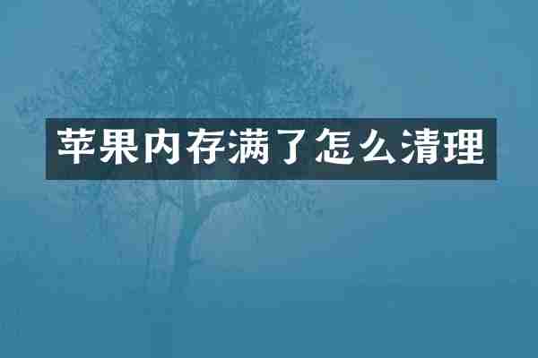 苹果内存满了怎么清理