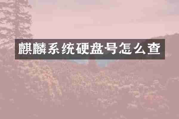 麒麟系统硬盘号怎么查