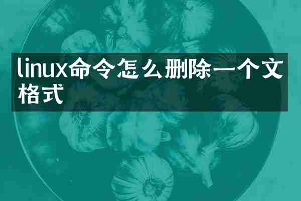 linux命令怎么删除一个文件格式