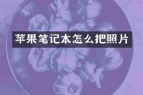 苹果笔记本怎么把照片