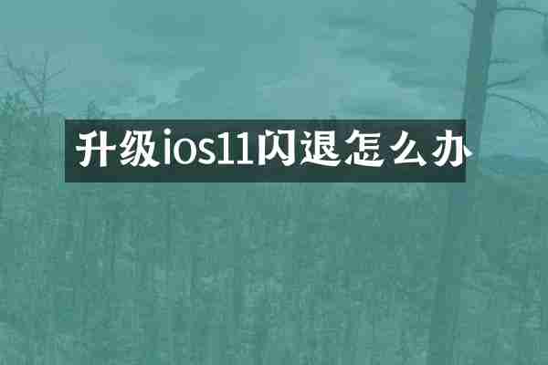 升级ios11闪退怎么办