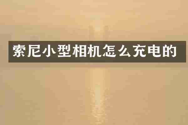 小型相机怎么充电的