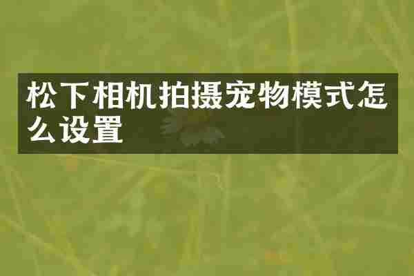 相机拍摄宠物模式怎么设置