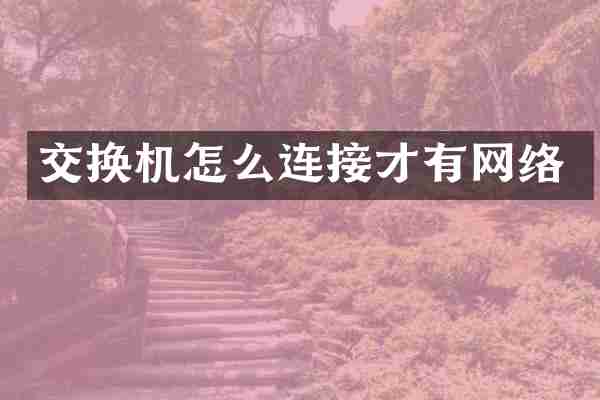 交换机怎么连接才有网络