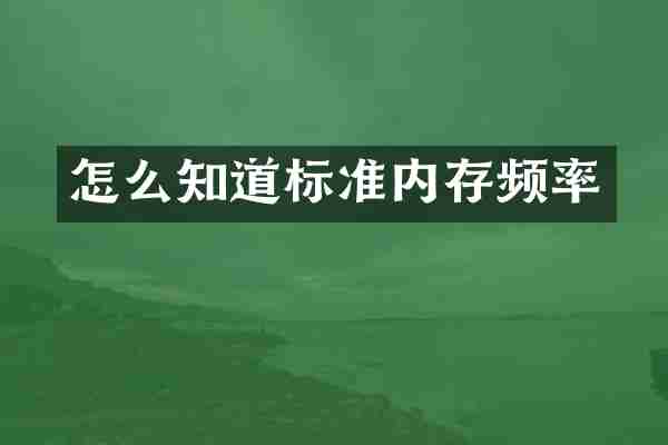 怎么知道标准内存频率