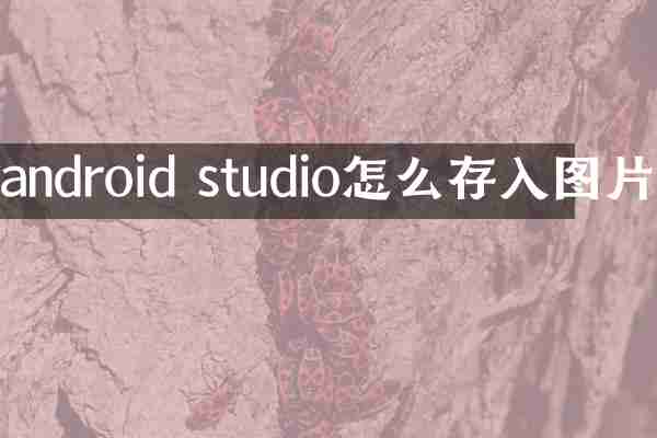 android studio怎么存入图片