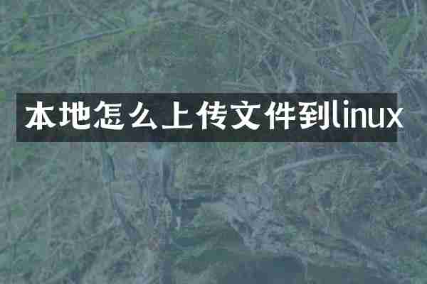 本地怎么上传文件到linux
