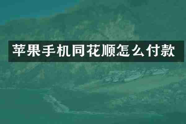 苹果手机同花顺怎么付款