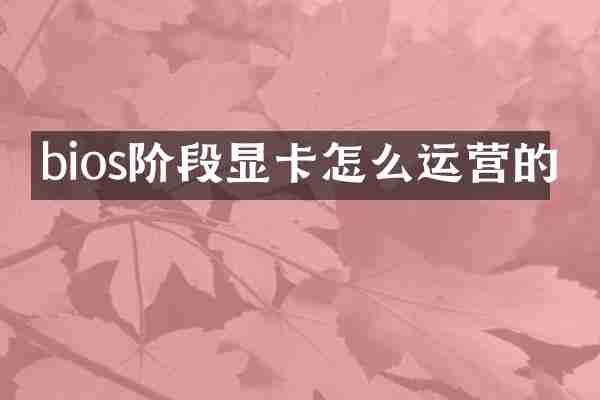 bios阶段显卡怎么运营的