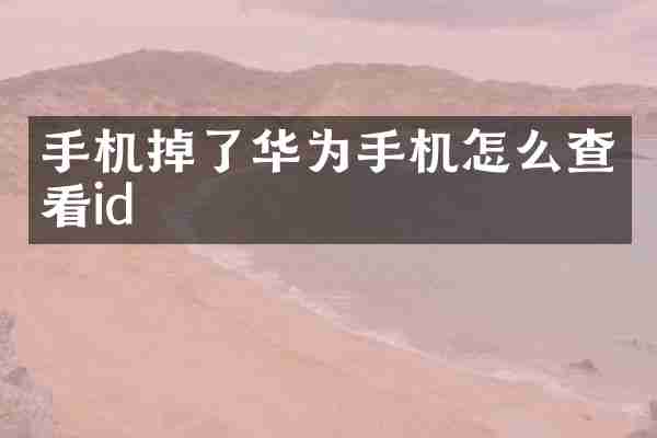 手机掉了华为手机怎么查看id