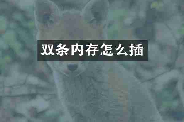 双条内存怎么插