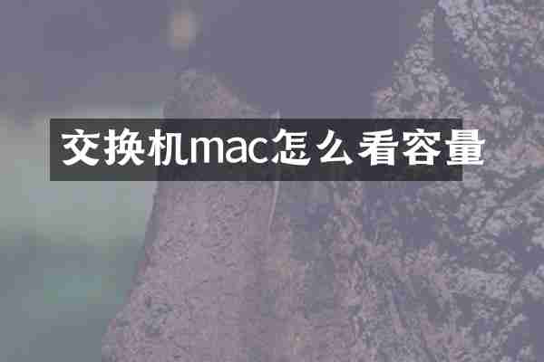 交换机mac怎么看容量