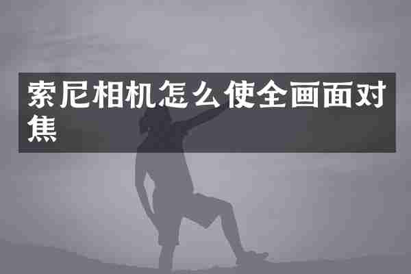相机怎么使全画面对焦