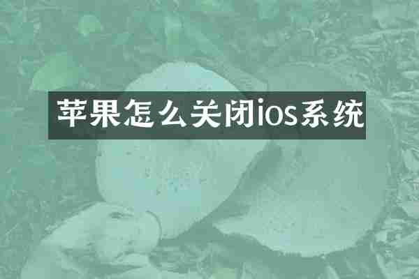 苹果怎么关闭ios系统