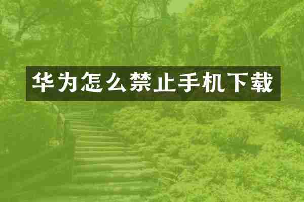 华为怎么禁止手机下载