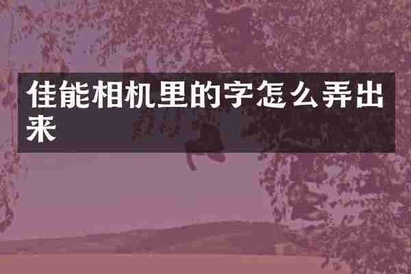 佳能相机里的字怎么弄出来