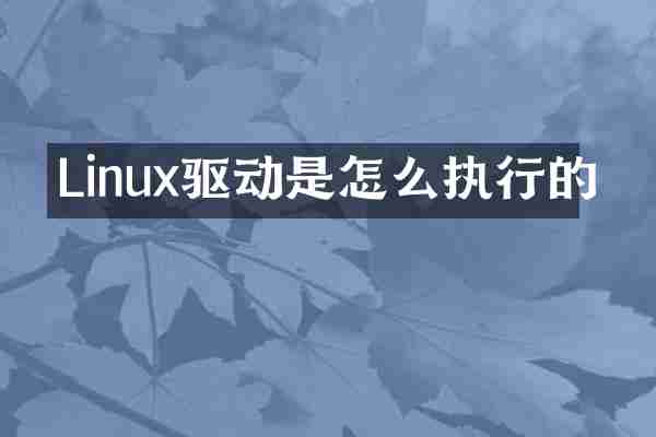 Linux驱动是怎么执行的