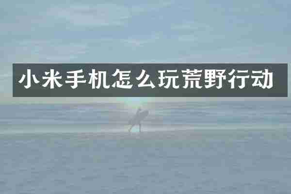 小米手机怎么玩荒野行动