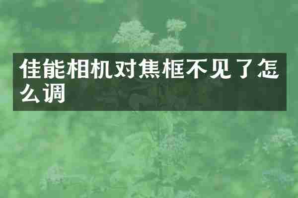 佳能相机对焦框不见了怎么调