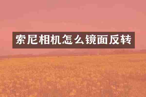 相机怎么镜面反转