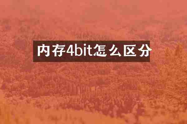 内存4bit怎么区分