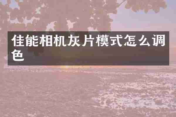 佳能相机灰片模式怎么调色