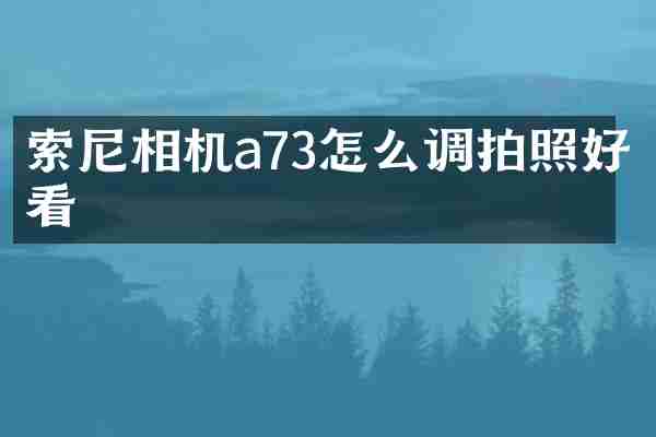 相机a73怎么调拍照好看