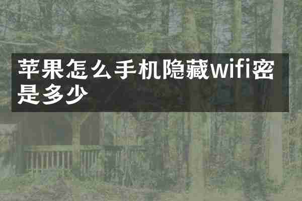 苹果怎么手机隐藏wifi密码是多少