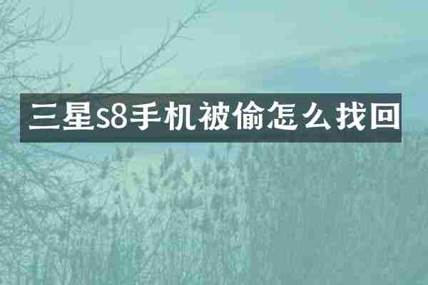 三星s8手机被偷怎么找回
