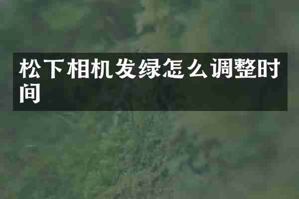相机发绿怎么调整时间