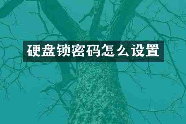 硬盘锁密码怎么设置